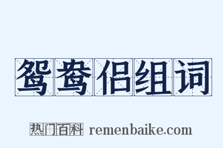 鸳鸯侣组词是什么意思的图片